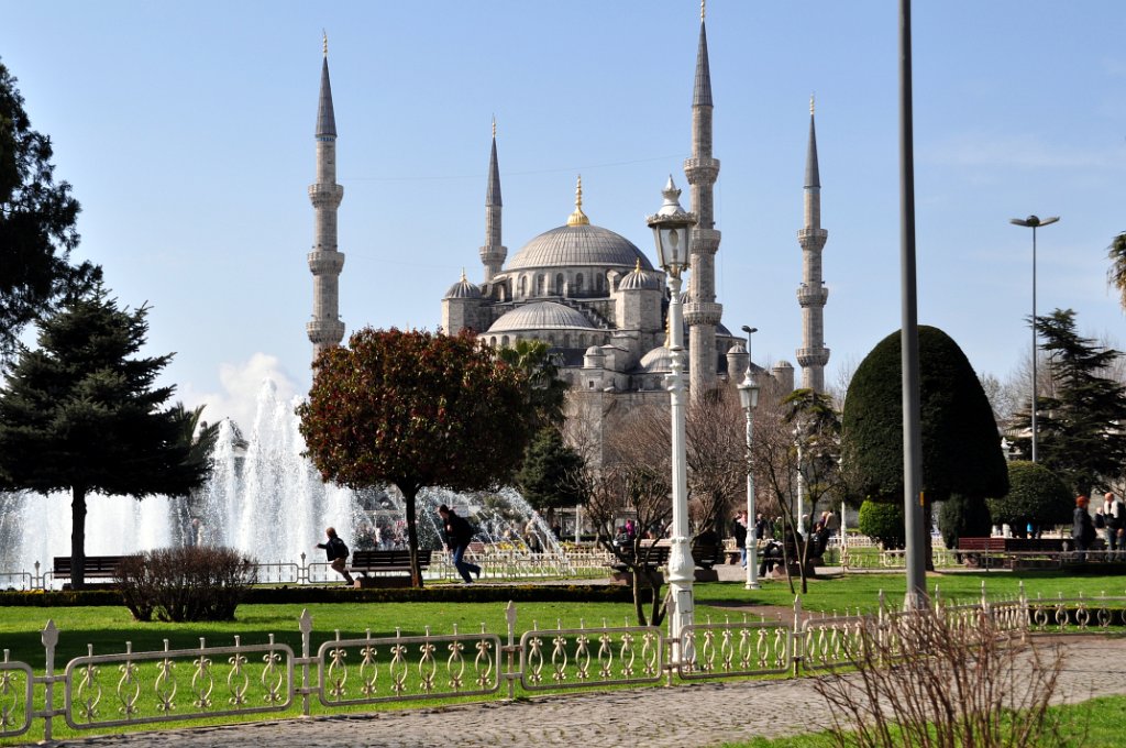 01 la mosche blu.JPG